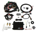 Holley HP EFI ECU and Harness Kits 550-601 image 0