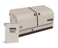 Champion 22kW aXis Generator with 200-Amp Automatic Transfer Switch | 201222 image 0