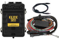 HalTech Elite 2500 ECU with Premium Universal Wire-In Harness HT-151304 image 0